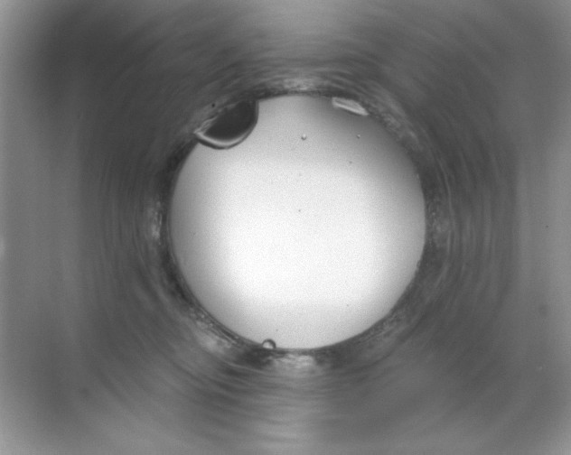 X0000068730374200605192325