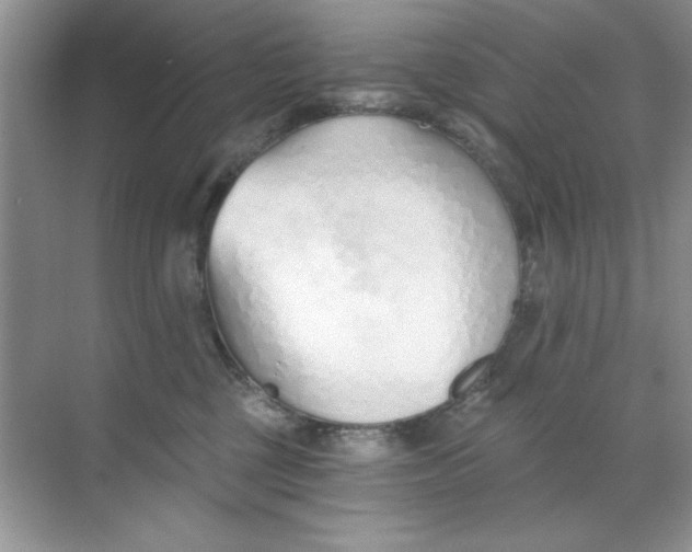 X0000068730377200605192325