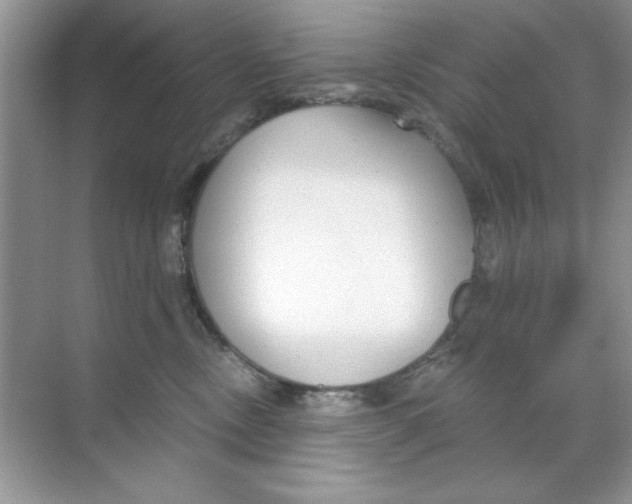 X0000068730378200605192325