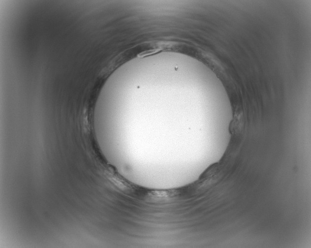 X0000068730381200605192325