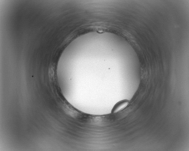 X0000068730382200605192325