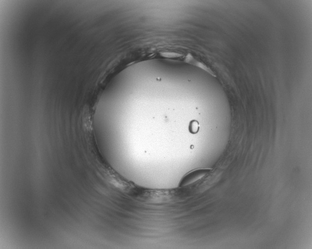 X0000068730384200605192325