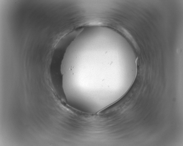 X0000068730385200605192325