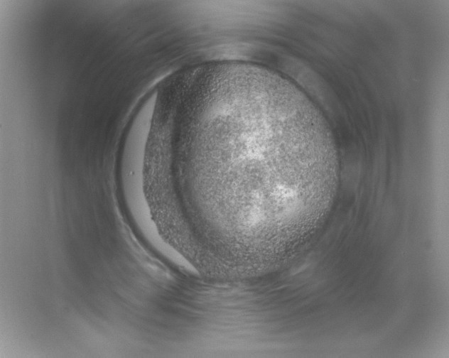 X0000068730386200605192325