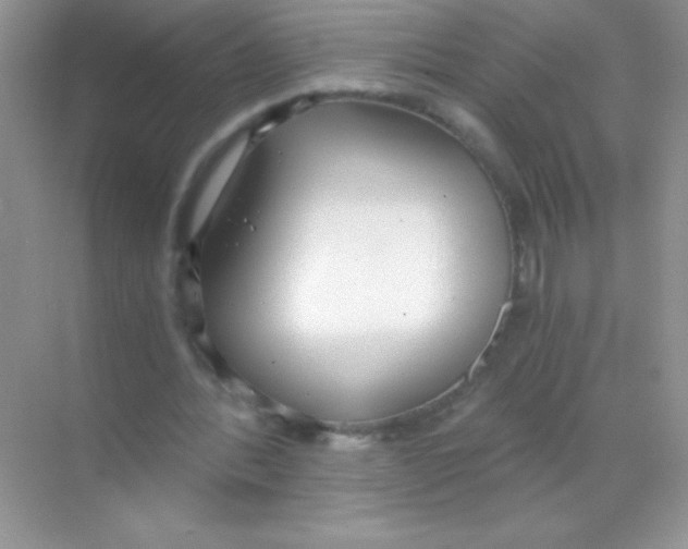 X0000068730388200605192325