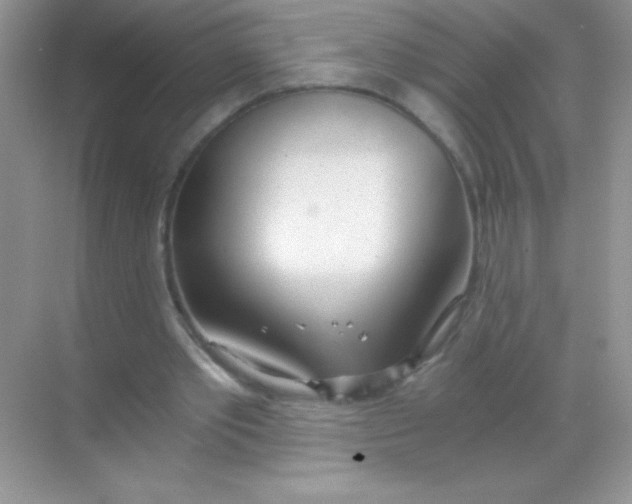 X0000068730389200605192325