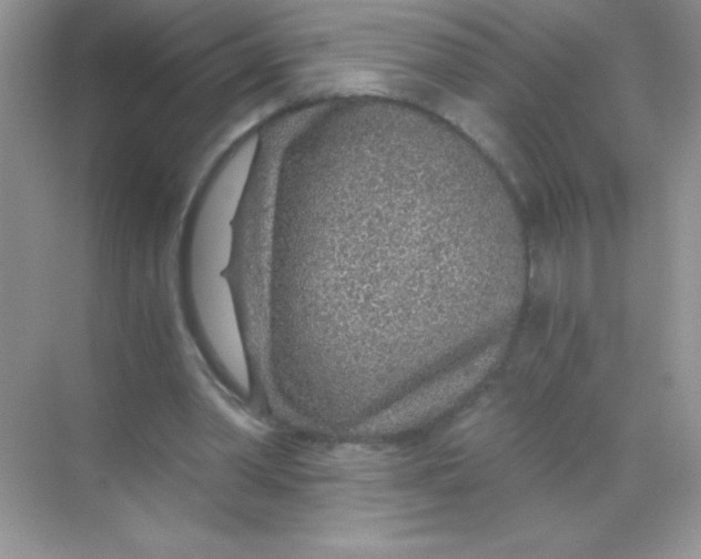 X0000068730390200605192325