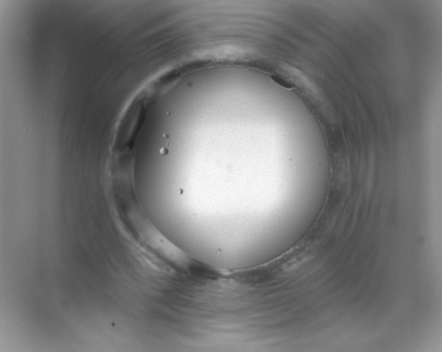 X0000068730392200605192325