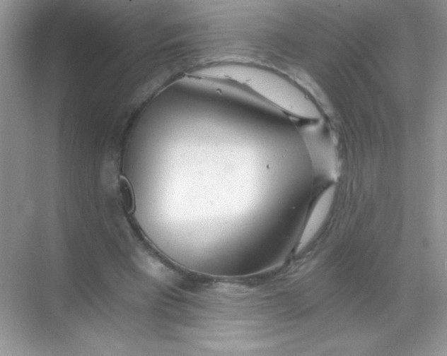 X0000068730393200605192324