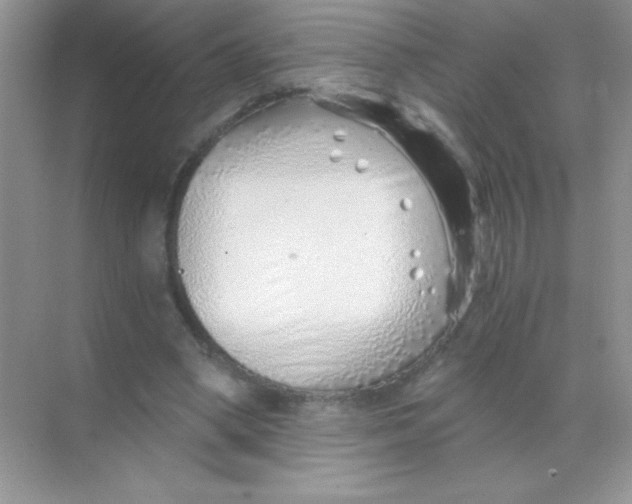 X0000068730394200605192324