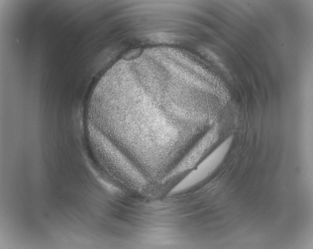 X0000068730398200605192324