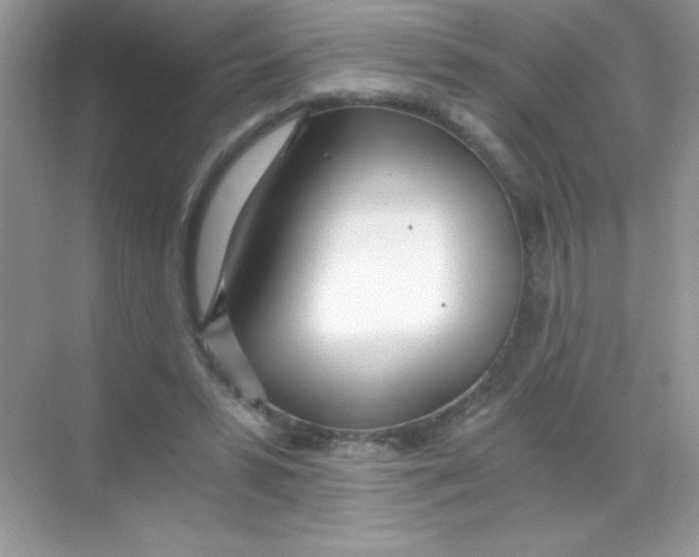 X0000068730399200605192324