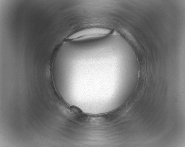 X0000068730401200605192324