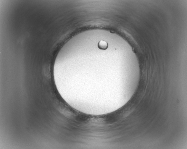 X0000068730403200605192324