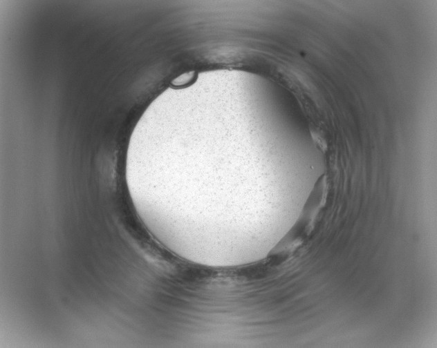 X0000068730404200605192324