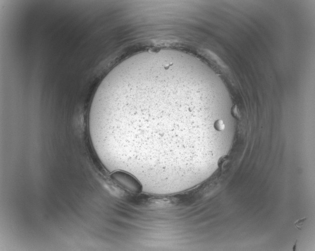 X0000068730405200605192324