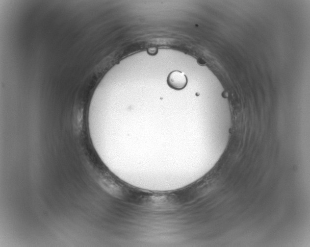 X0000068730406200605192324