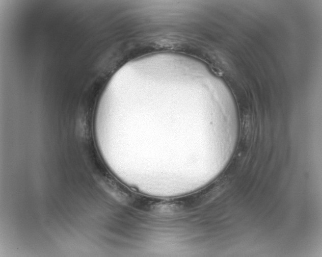 X0000068730408200605192324