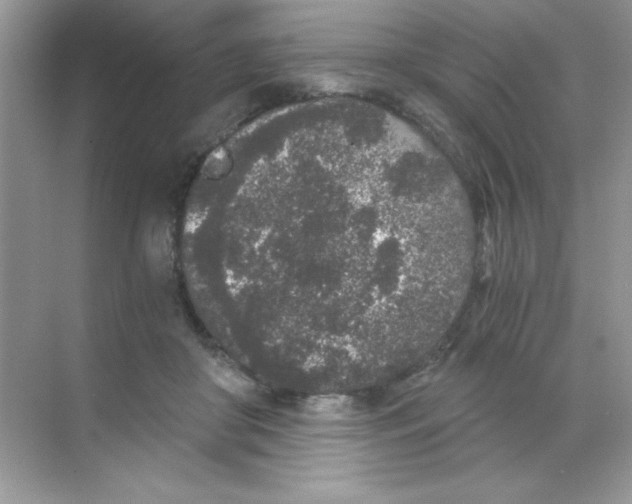 X0000068730410200605192324