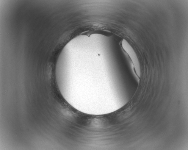 X0000068730412200605192324