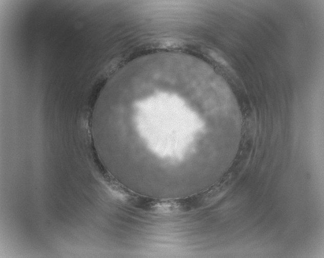 X0000068730415200605192324