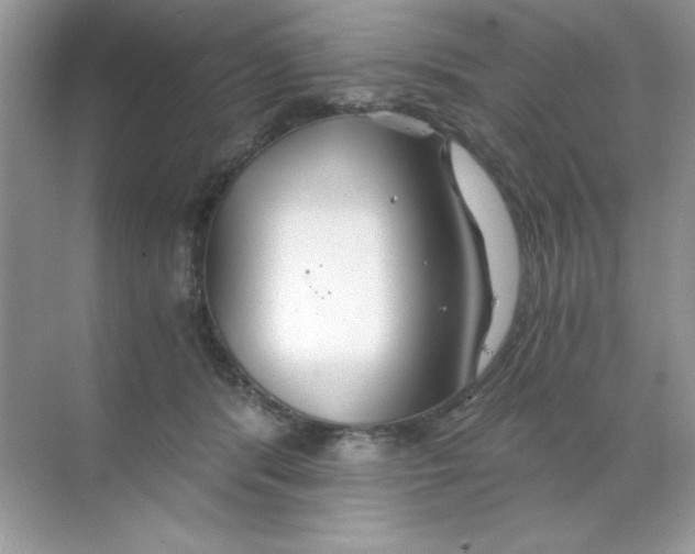 X0000068730416200605192324