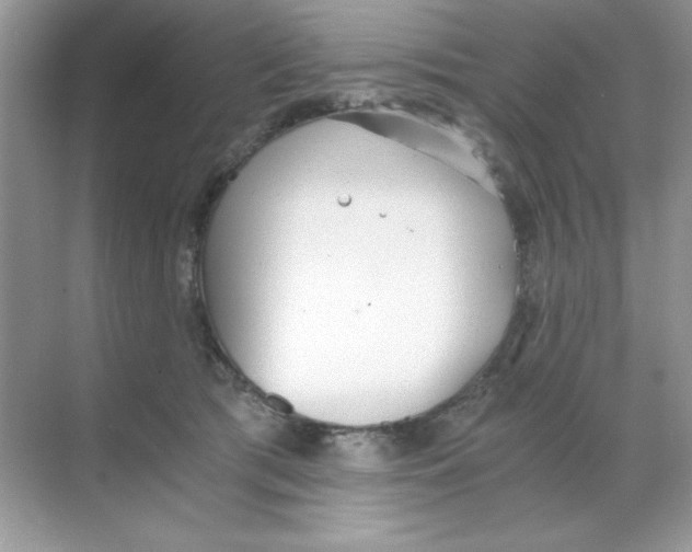 X0000068730417200605192324