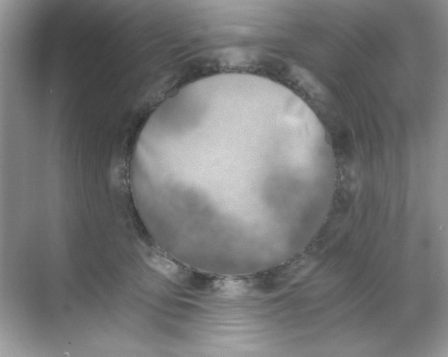 X0000068730419200605192324