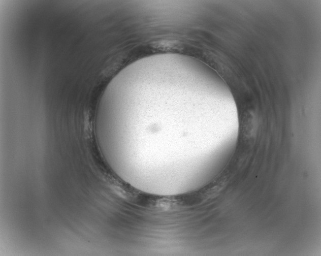 X0000068730420200605192324