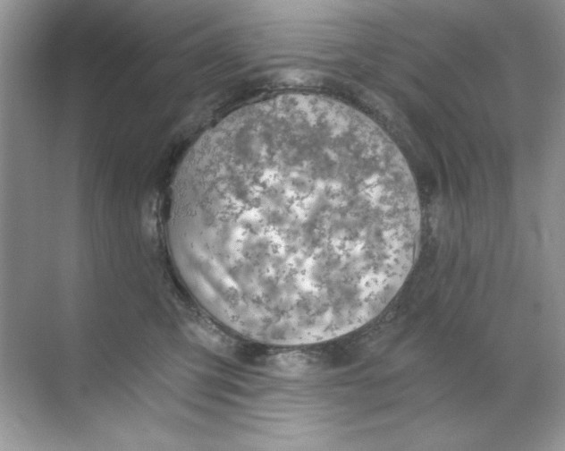 X0000068730423200605192324