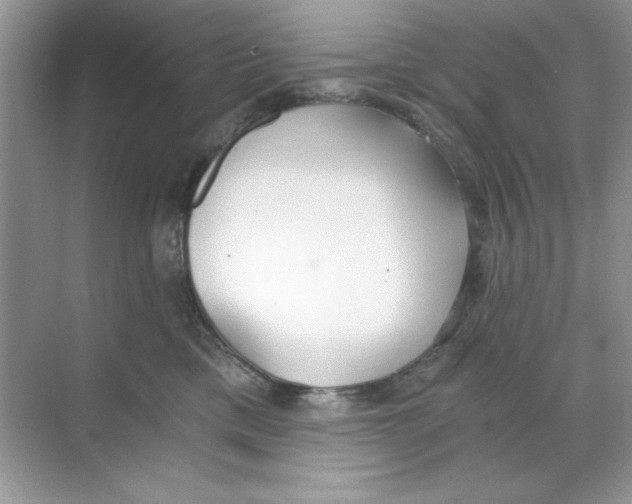 X0000068730425200605192324