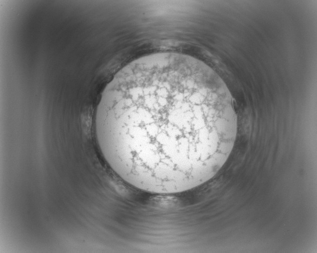 X0000068730427200605192324