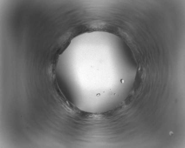 X0000068730428200605192324