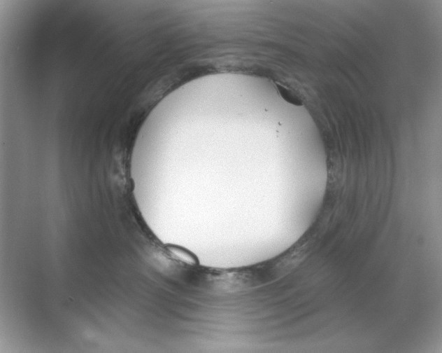 X0000068730430200605192324