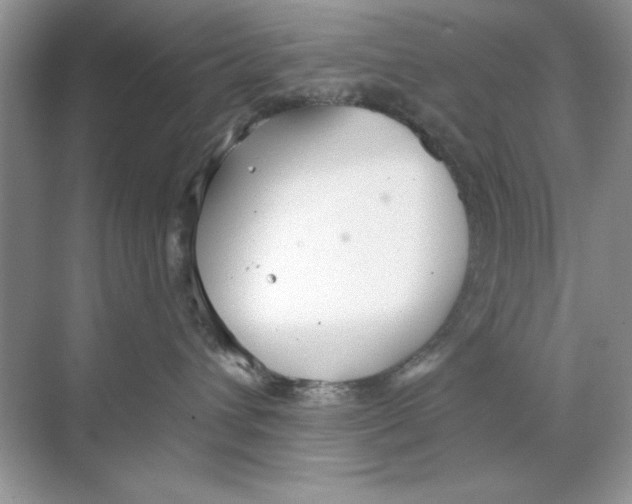 X0000068730432200605192324