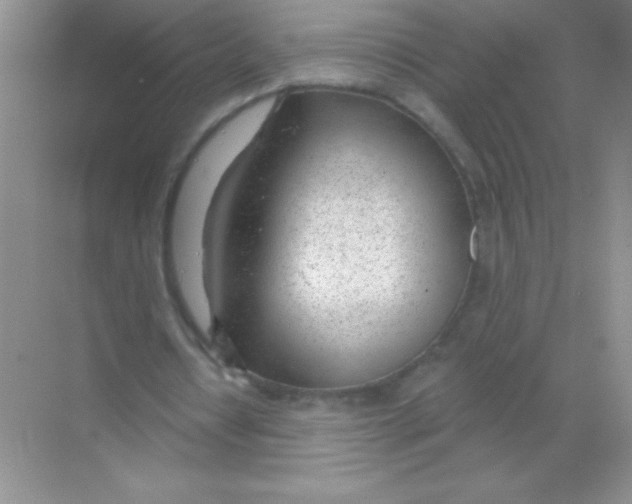 X0000068730434200605192323