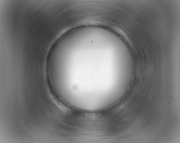 X0000068730439200605192323