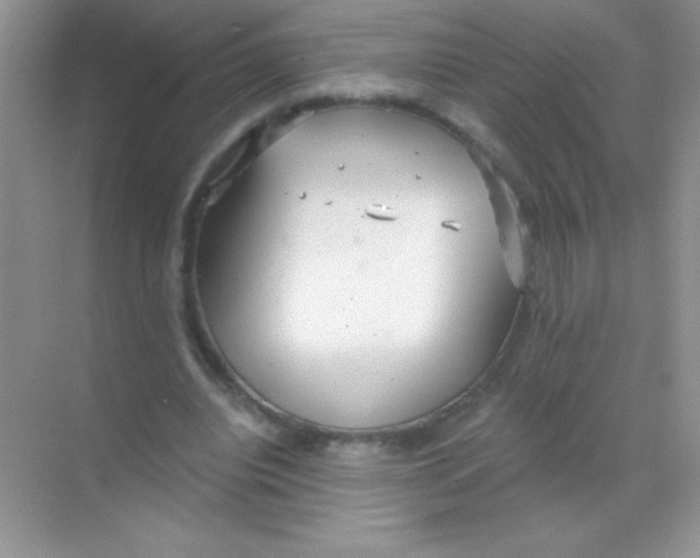 X0000068730440200605192323