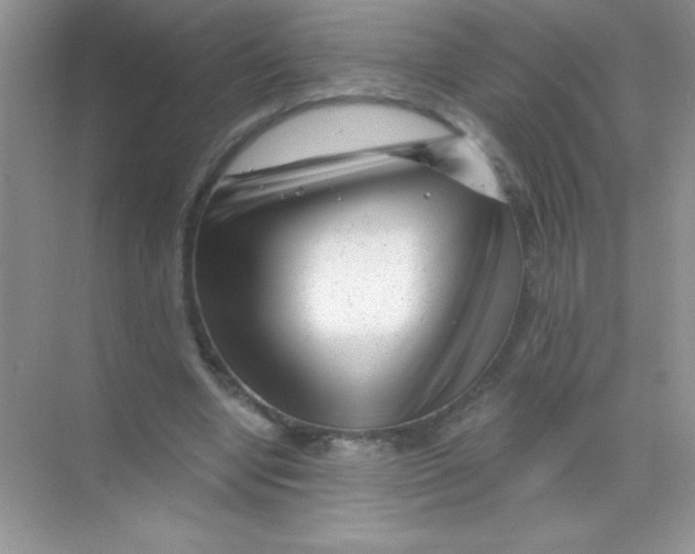 X0000068730442200605192323