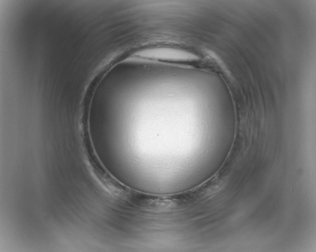 X0000068730443200605192323