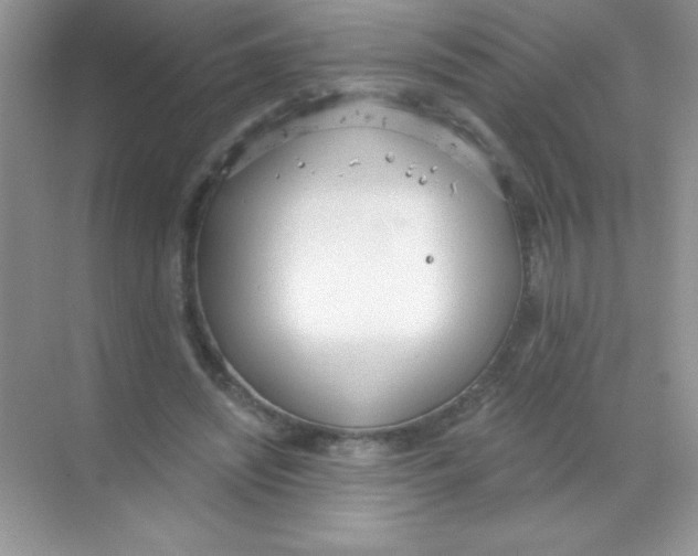 X0000068730444200605192323