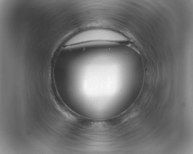 X0000068730446200605192323