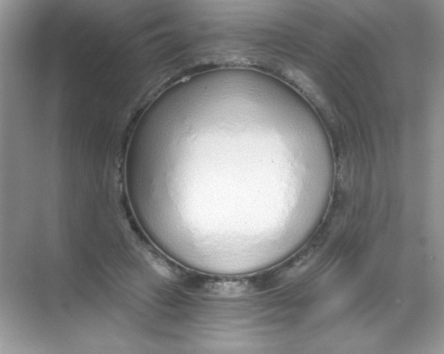 X0000068730449200605192323