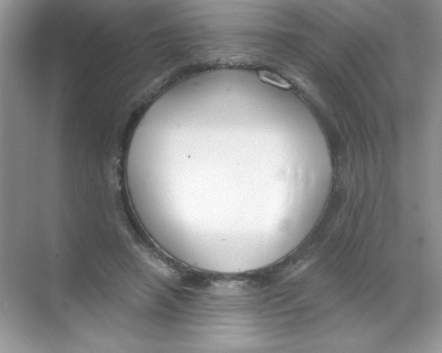 X0000068730450200605192323