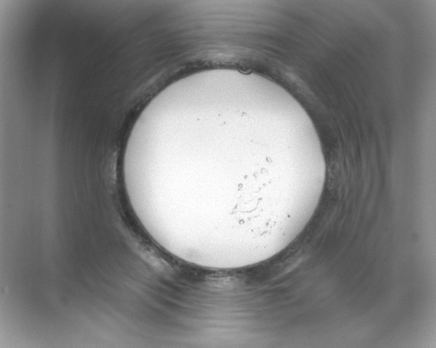 X0000068730454200605192323