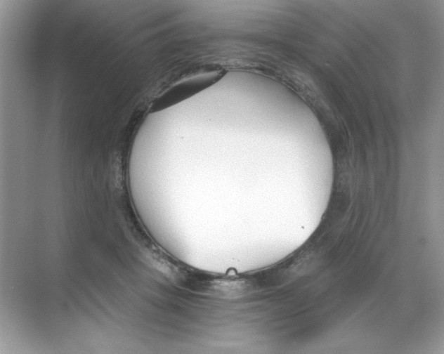 X0000068730457200605192323