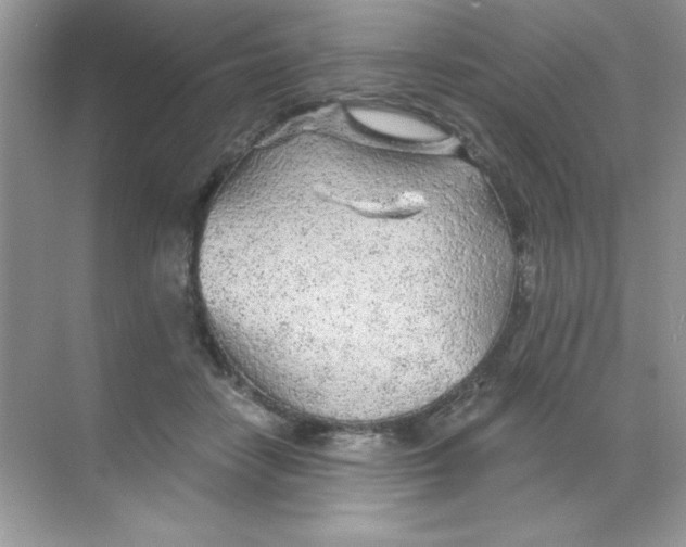 X0000068730458200605192323