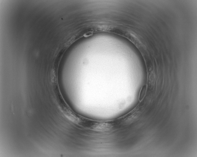 X0000068730459200605192323