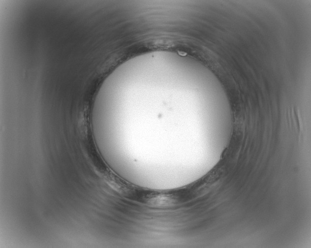 X0000068730460200605192323