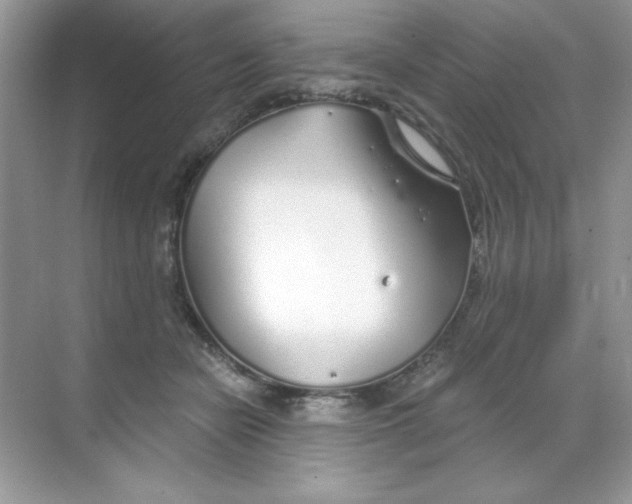 X0000068730462200605192324